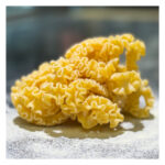 Culurgiones Ogliastrini met Ragù (Copy) (Copy) (Copy) (Copy)